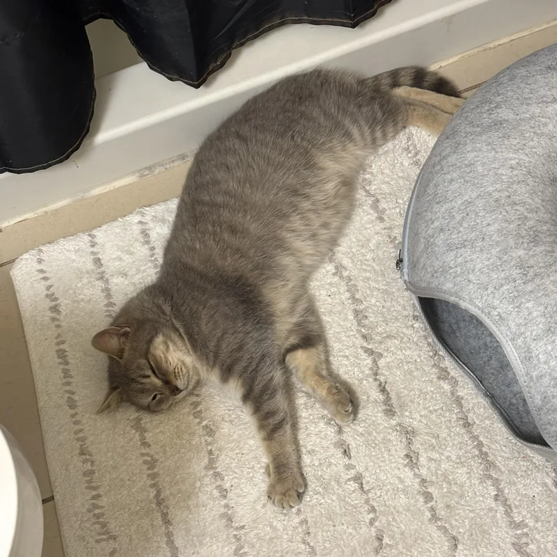 Priority thumbnail 2