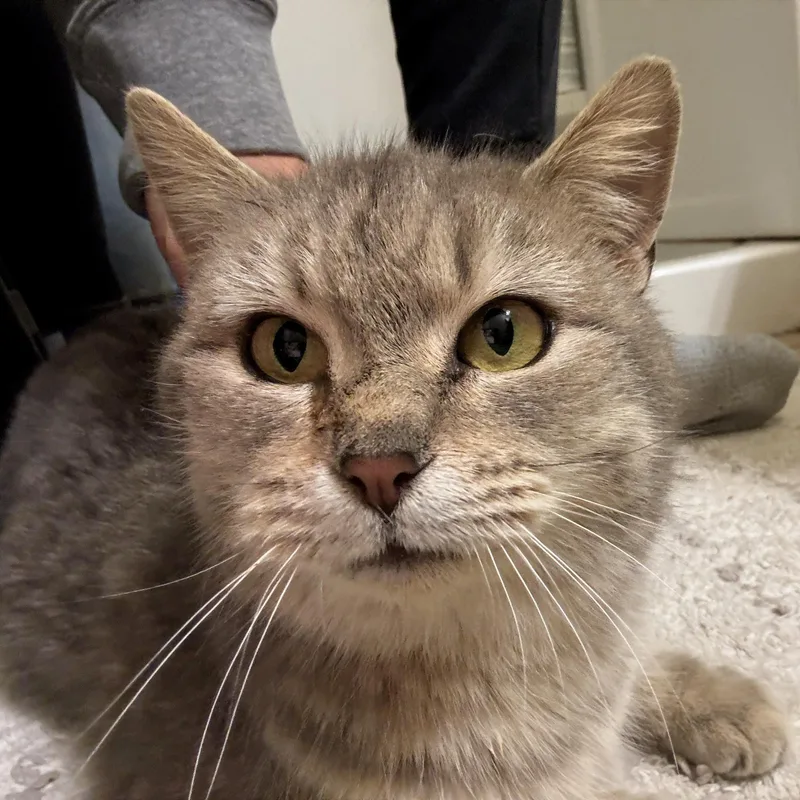 Priority thumbnail 3