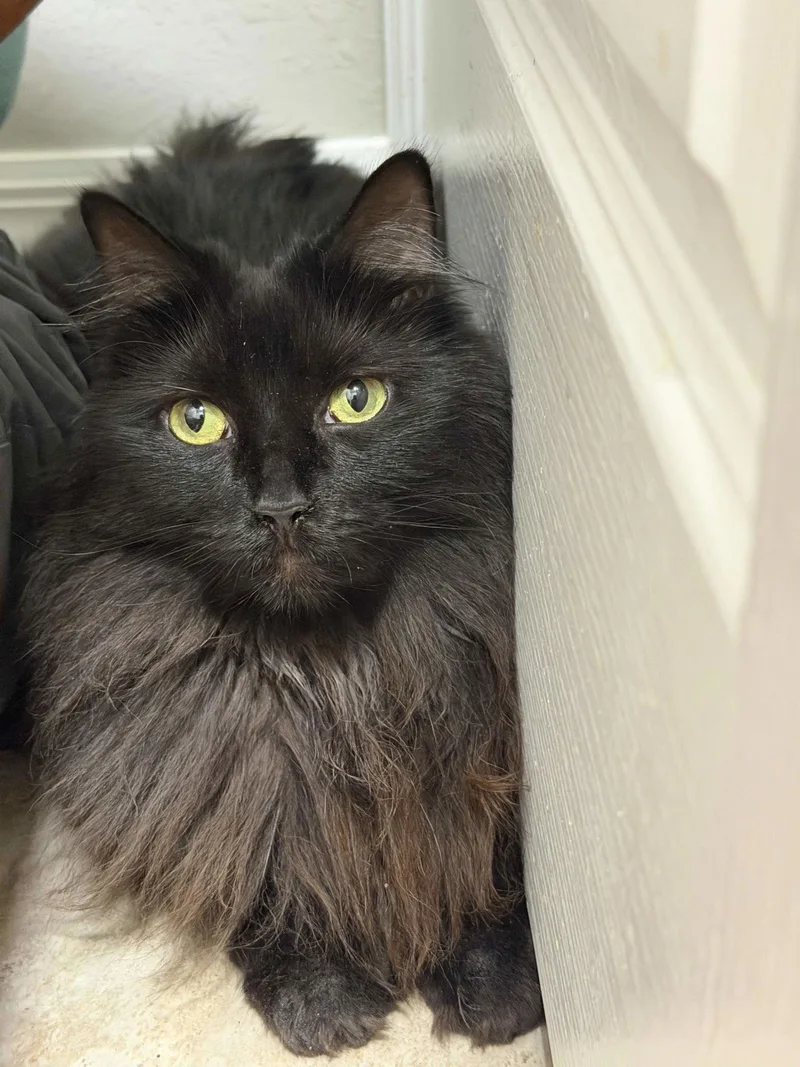 Shannon Walker thumbnail 2