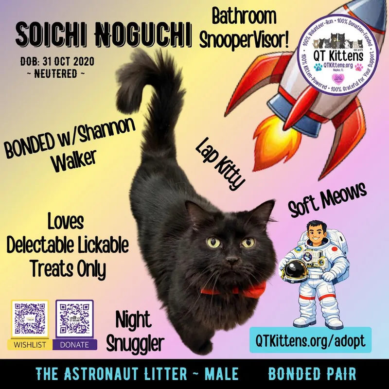 Soichi Noguchi thumbnail 2