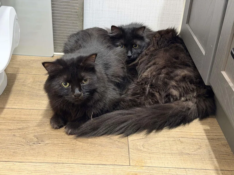 Soichi Noguchi thumbnail 3