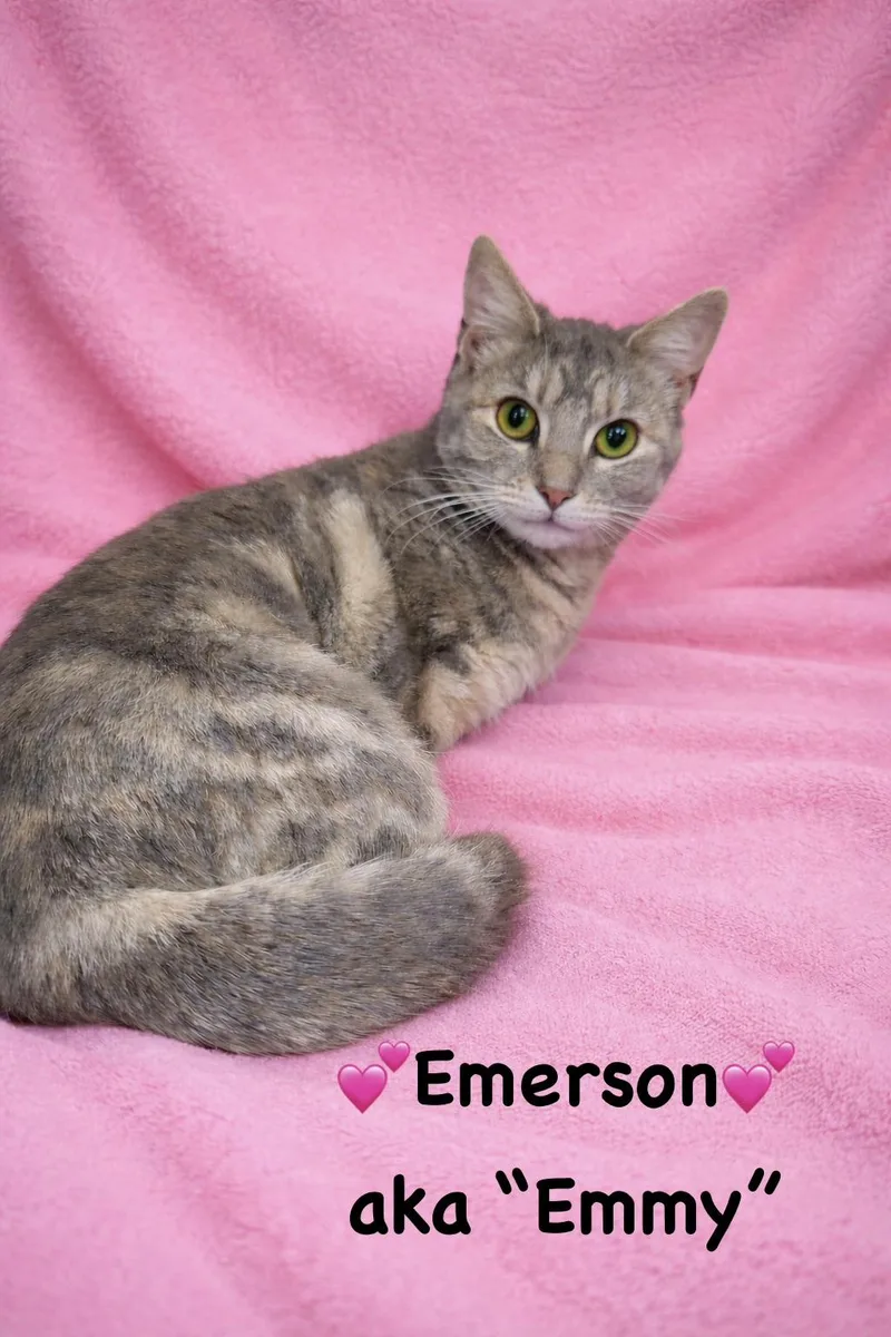 Emerson Aka "emmy" thumbnail 2