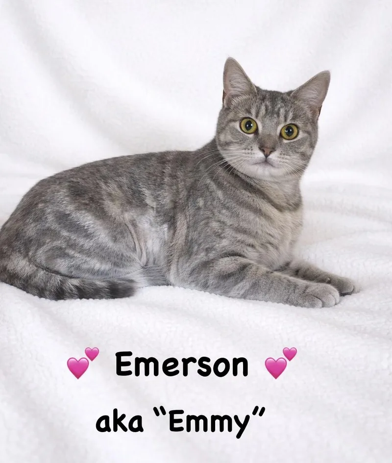 Emerson Aka "emmy"