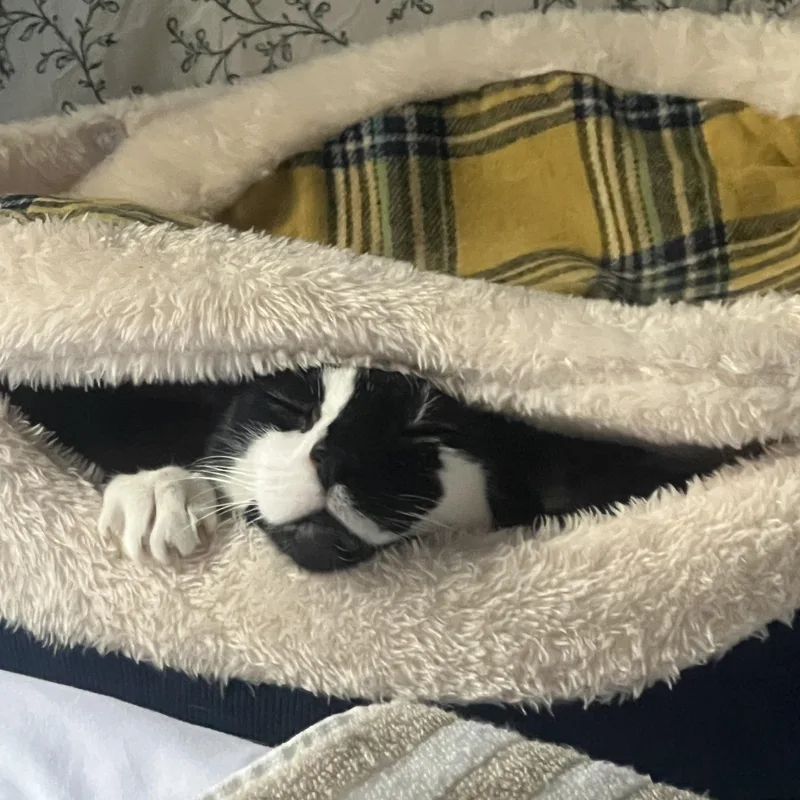 Snow White thumbnail 6