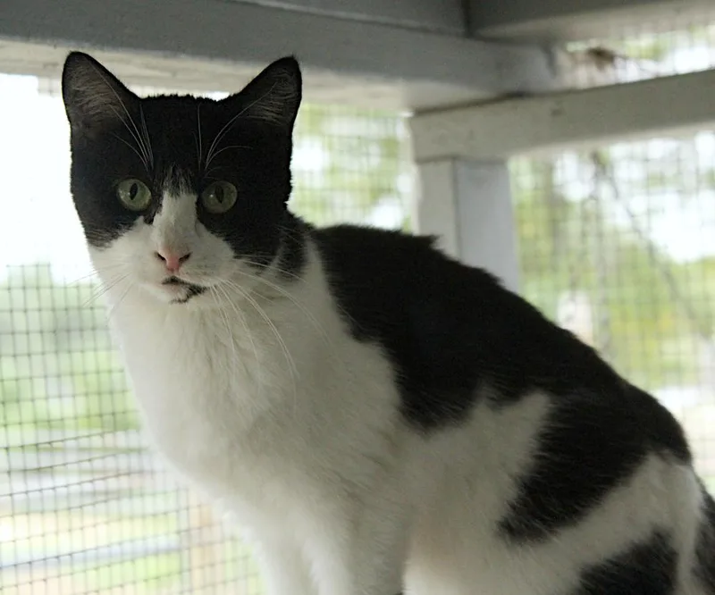 Mackenzie thumbnail 2