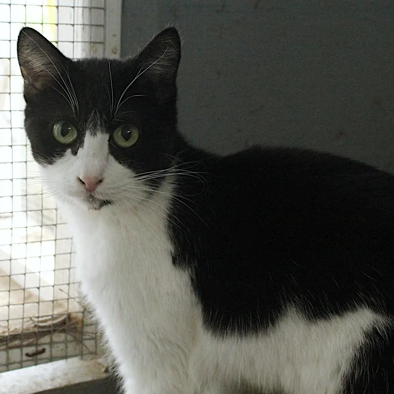 Mackenzie thumbnail 3