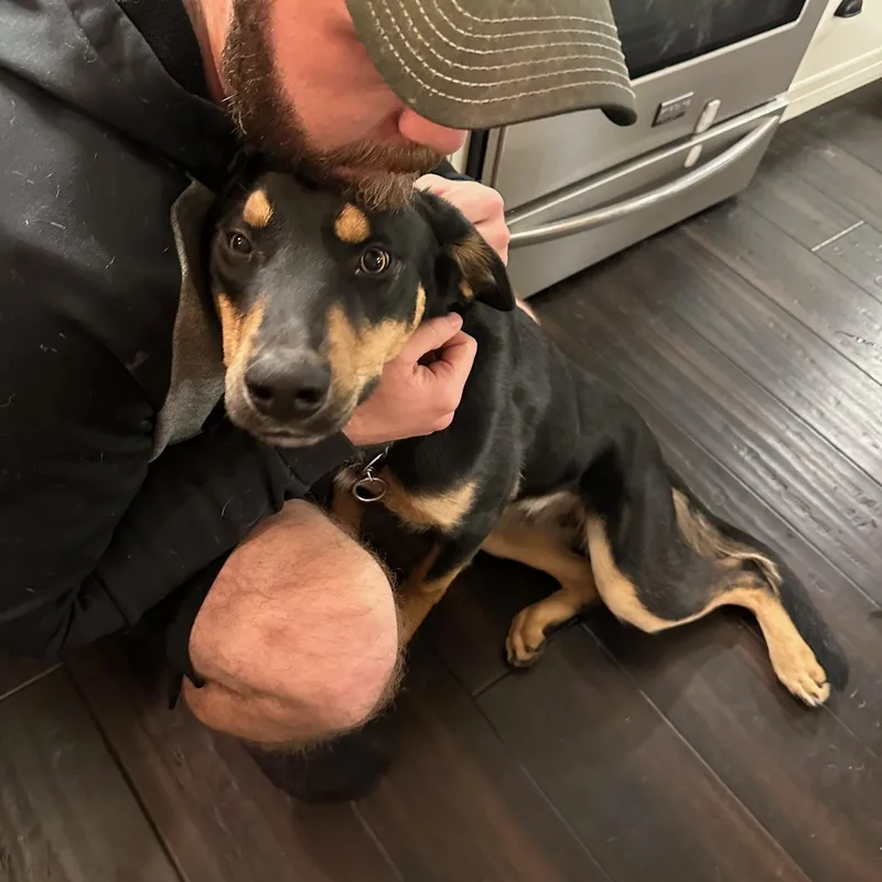 Chadwick thumbnail 2