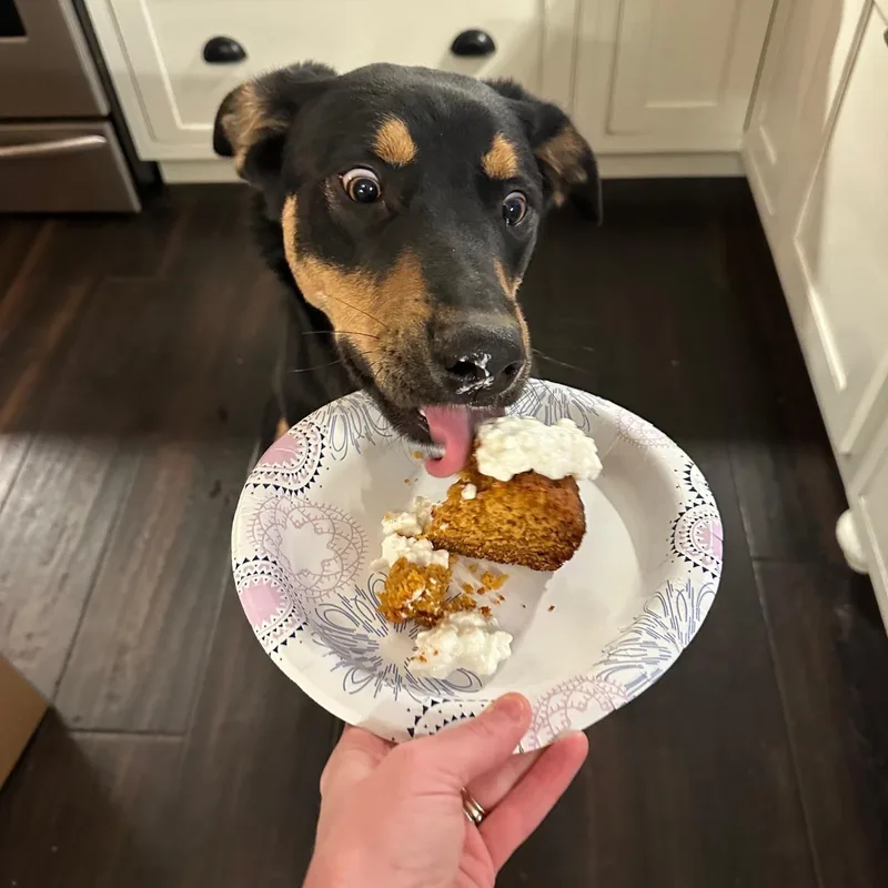 Chadwick thumbnail 3