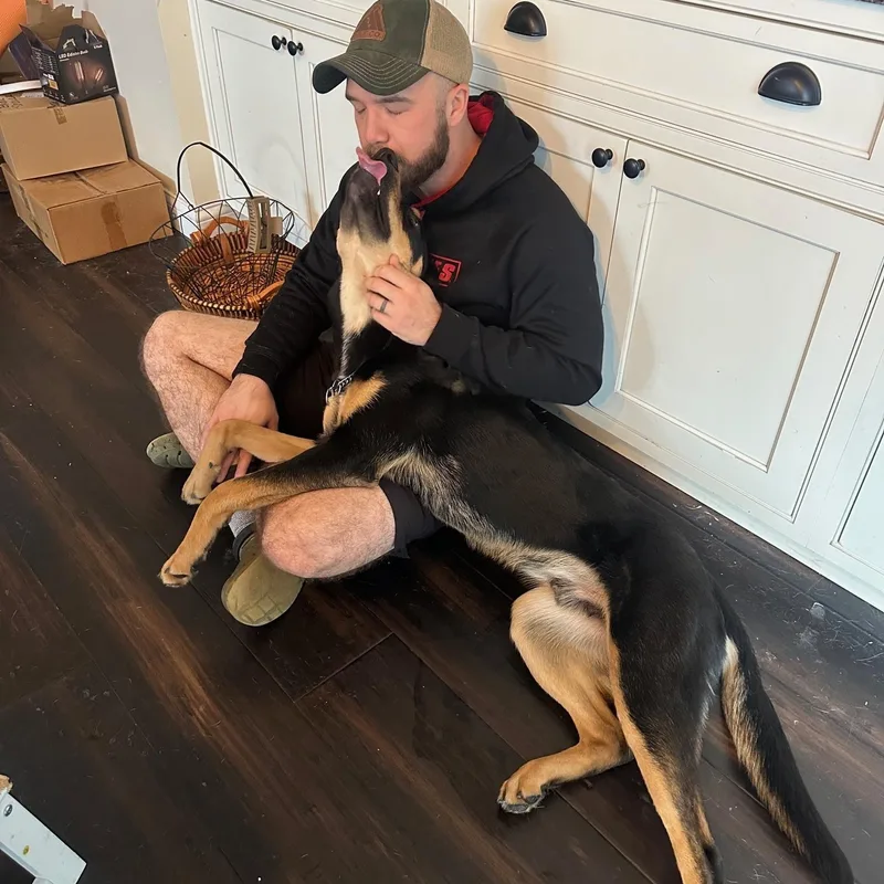 Chadwick thumbnail 4