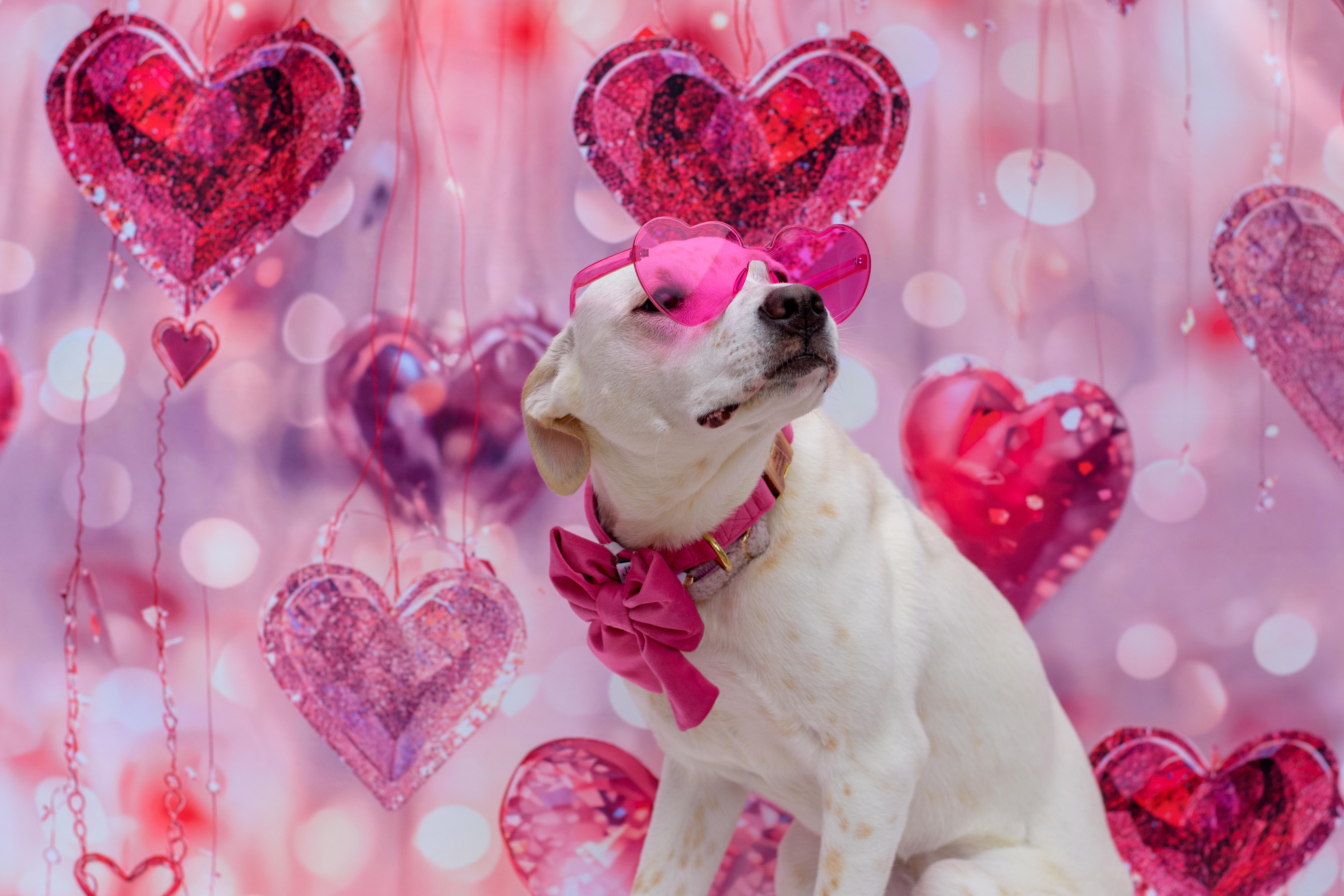 Princess thumbnail 3