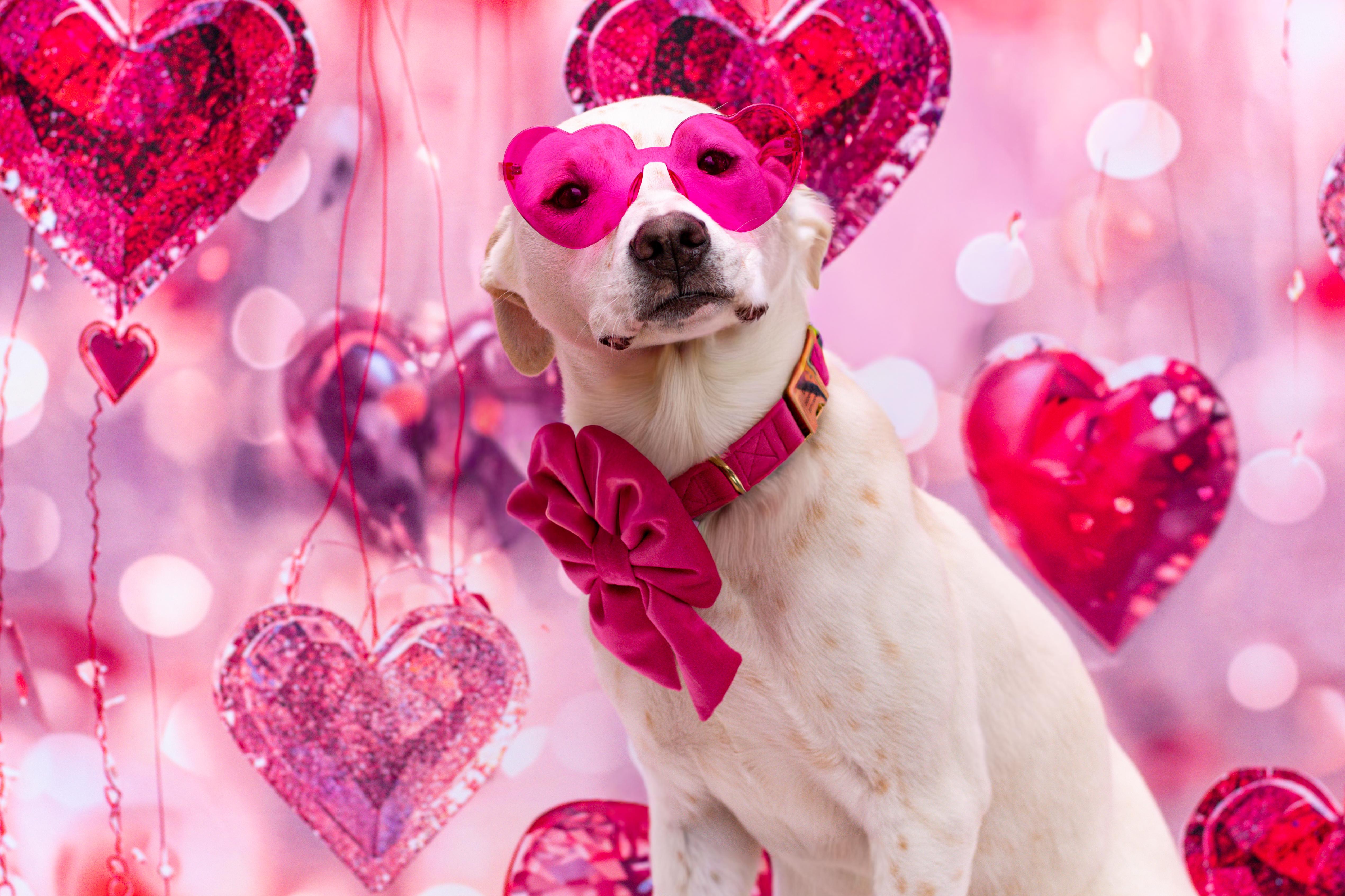 Princess thumbnail 4