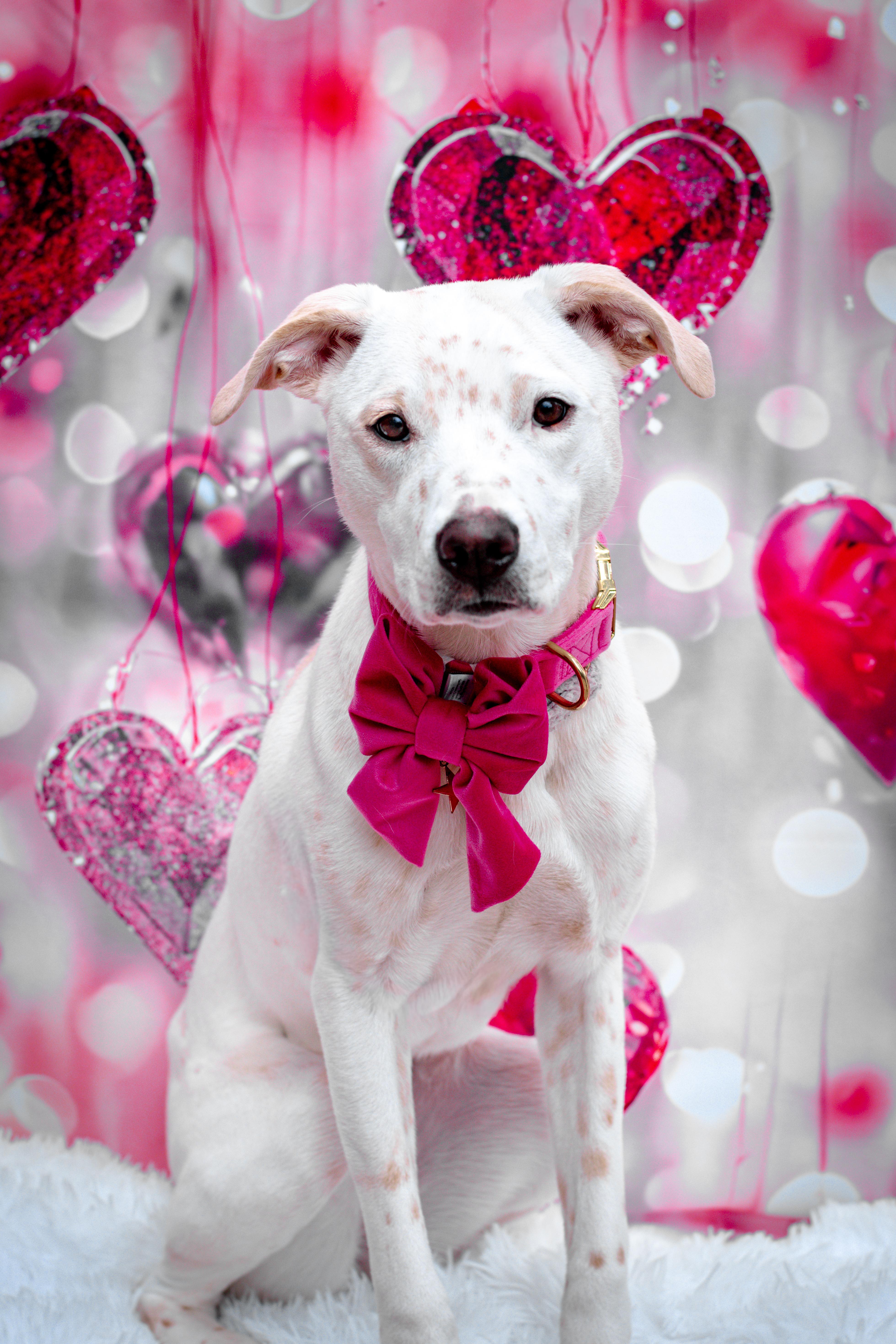 Princess thumbnail 5