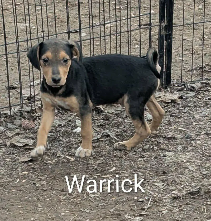Warrick