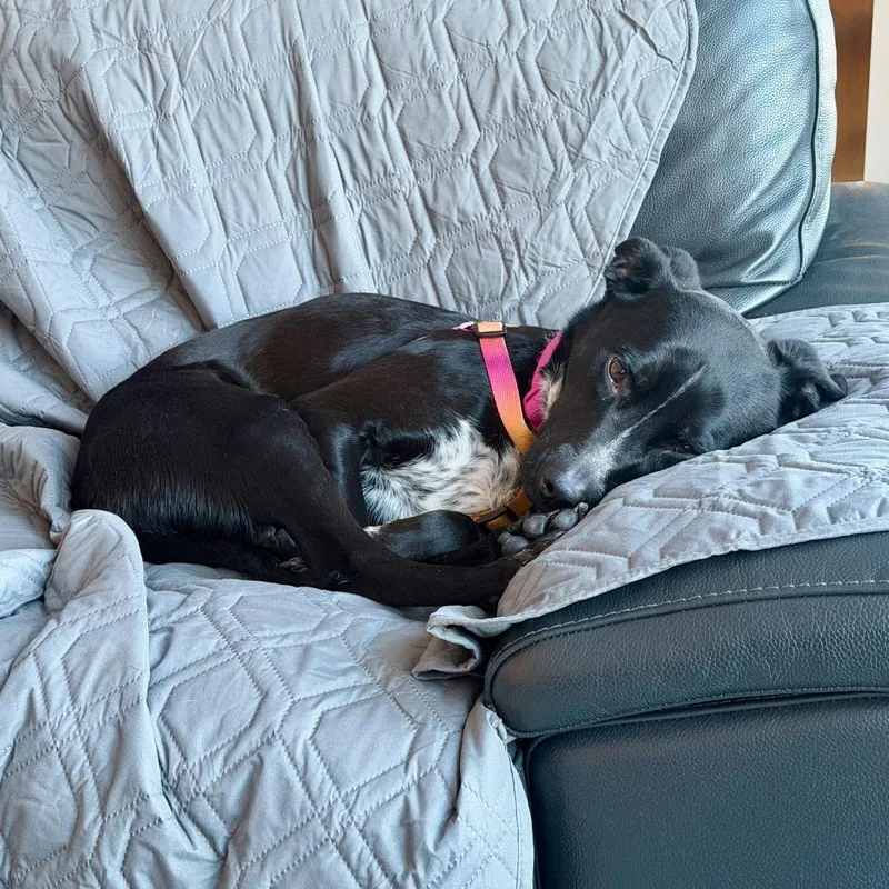 Izzy Rose D thumbnail 2