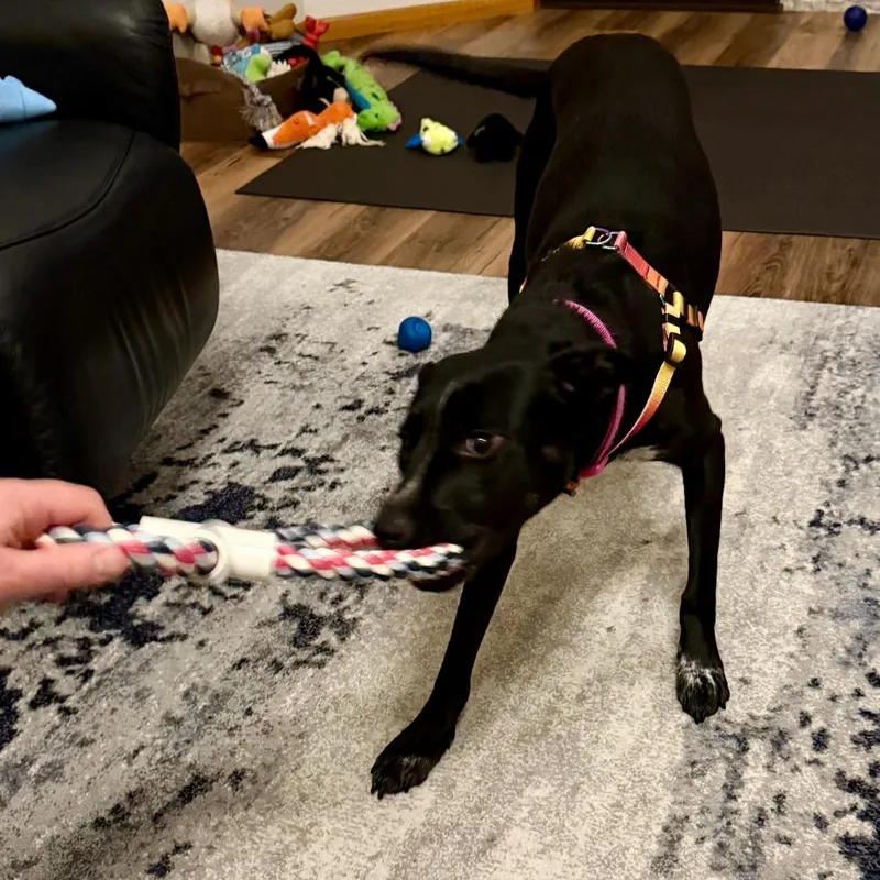 Izzy Rose D thumbnail 3