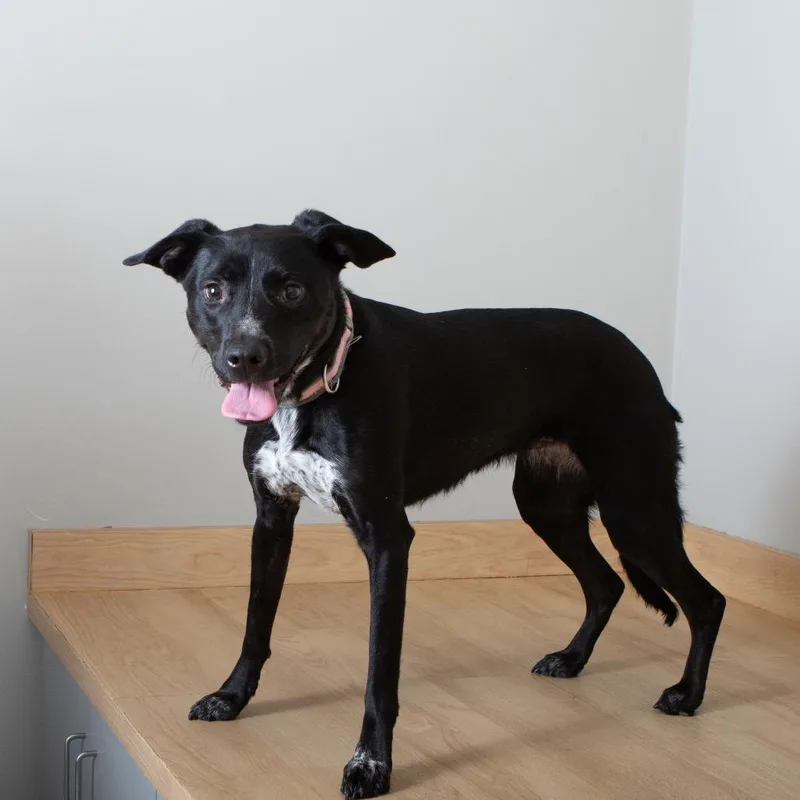 Izzy Rose D thumbnail 4