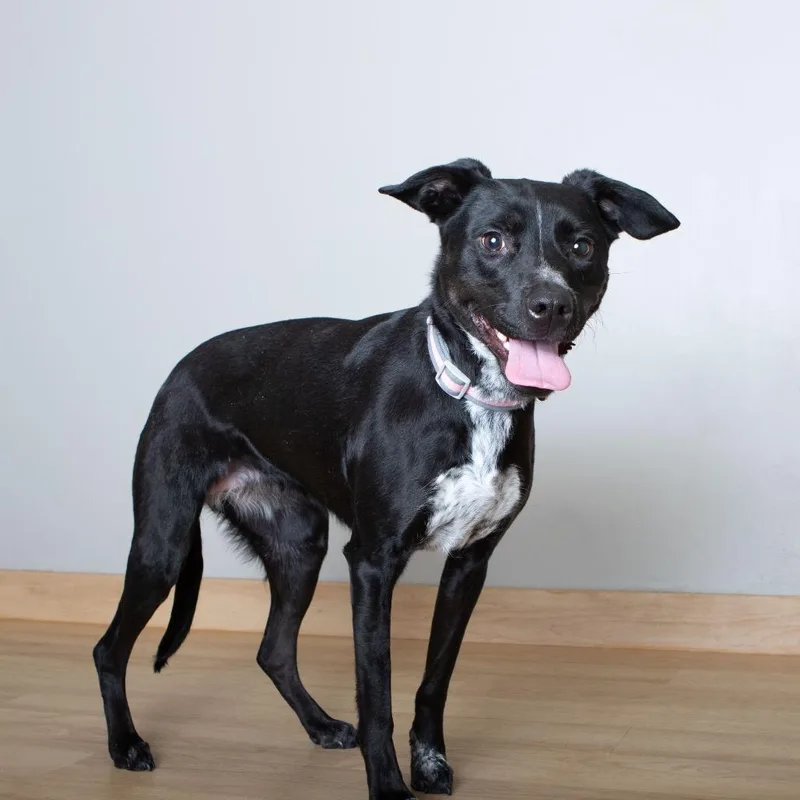 Izzy Rose D thumbnail 5