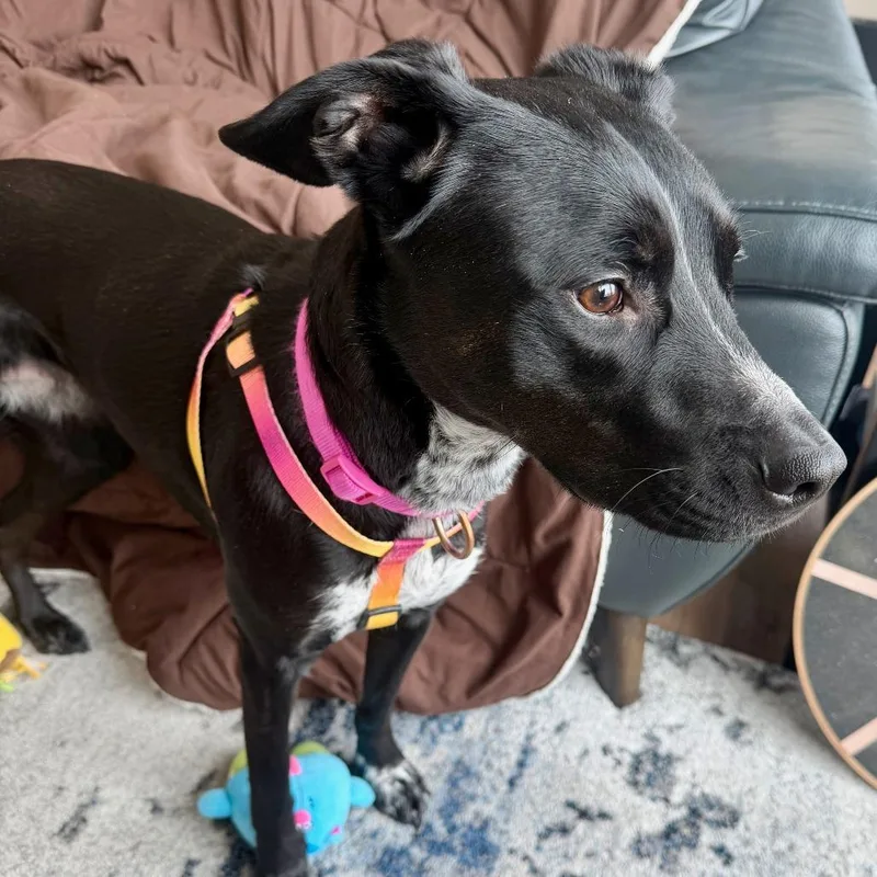 Izzy Rose D thumbnail 6