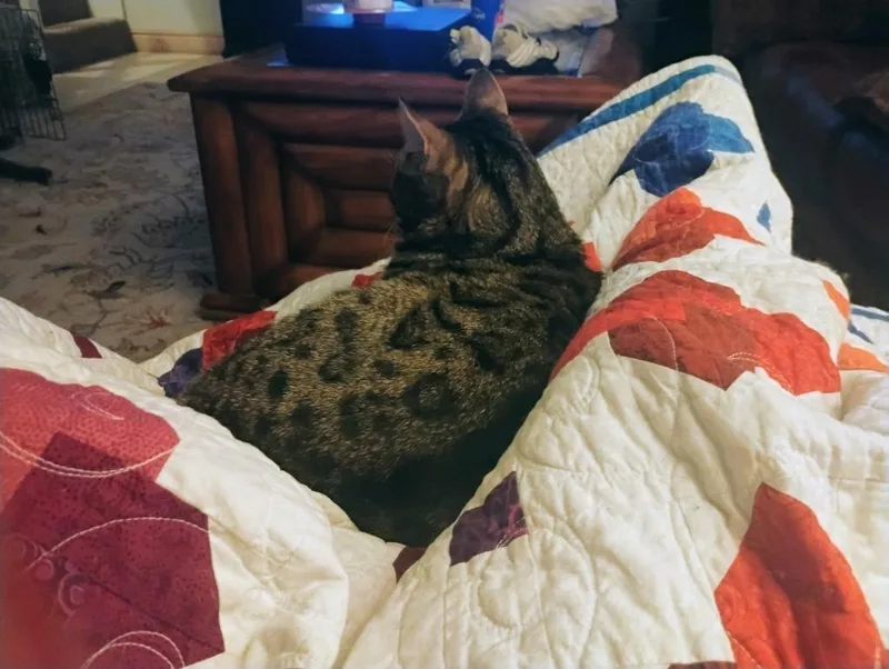 Rico Riggs thumbnail 3