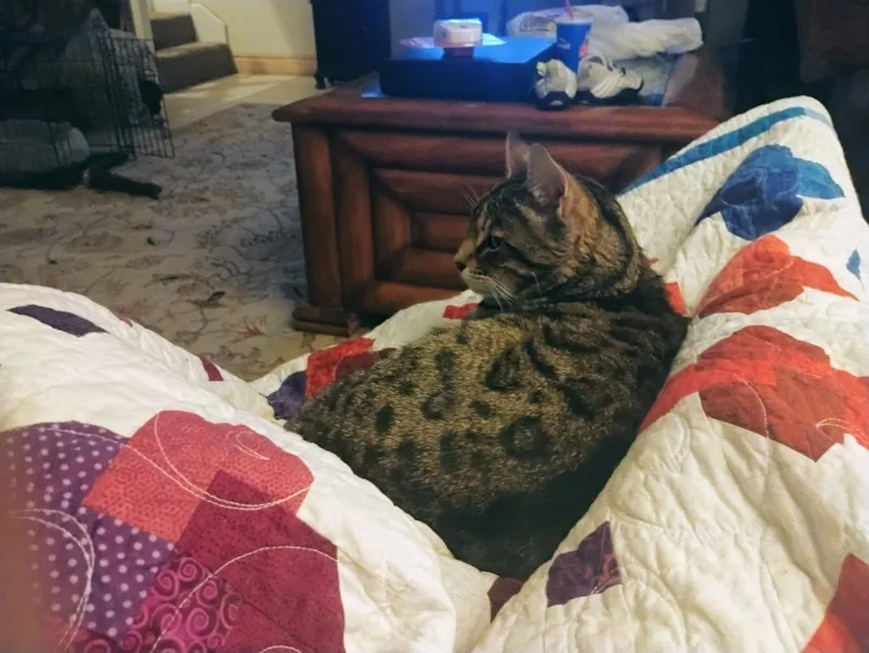 Rico Riggs thumbnail 4