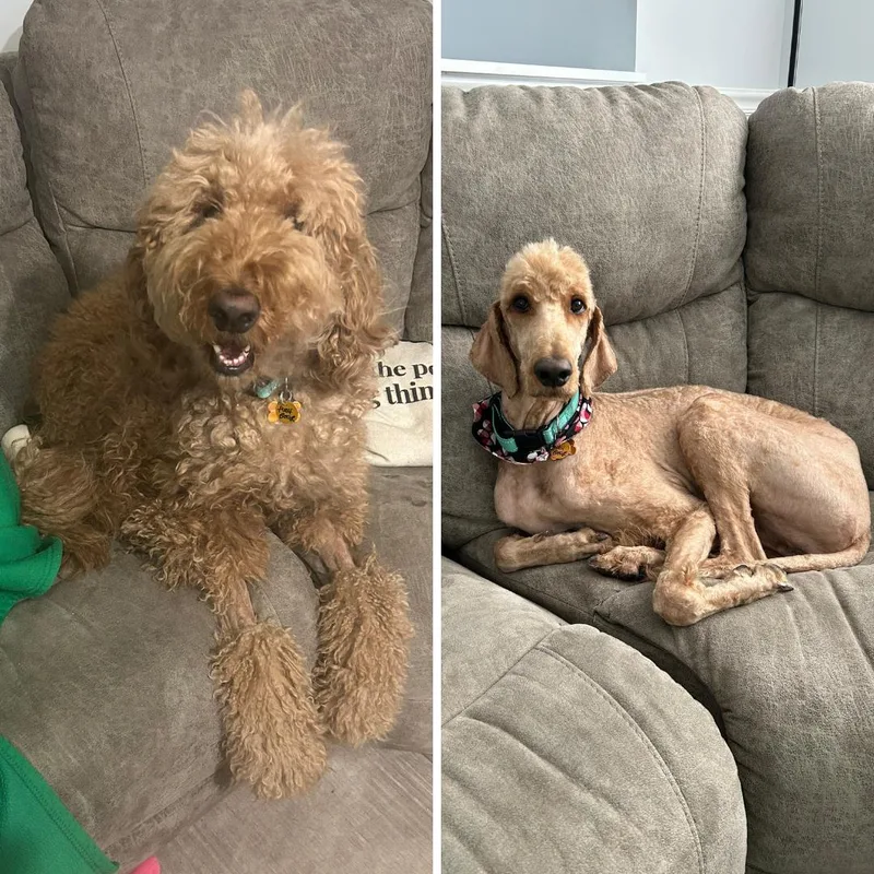 Pooh Bear thumbnail 4