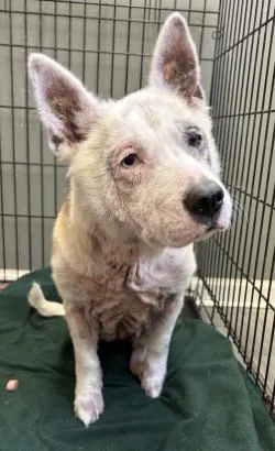 Dee Nice thumbnail 2