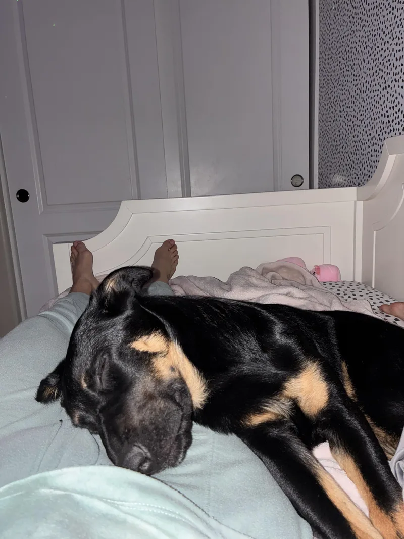 Twilight thumbnail 2