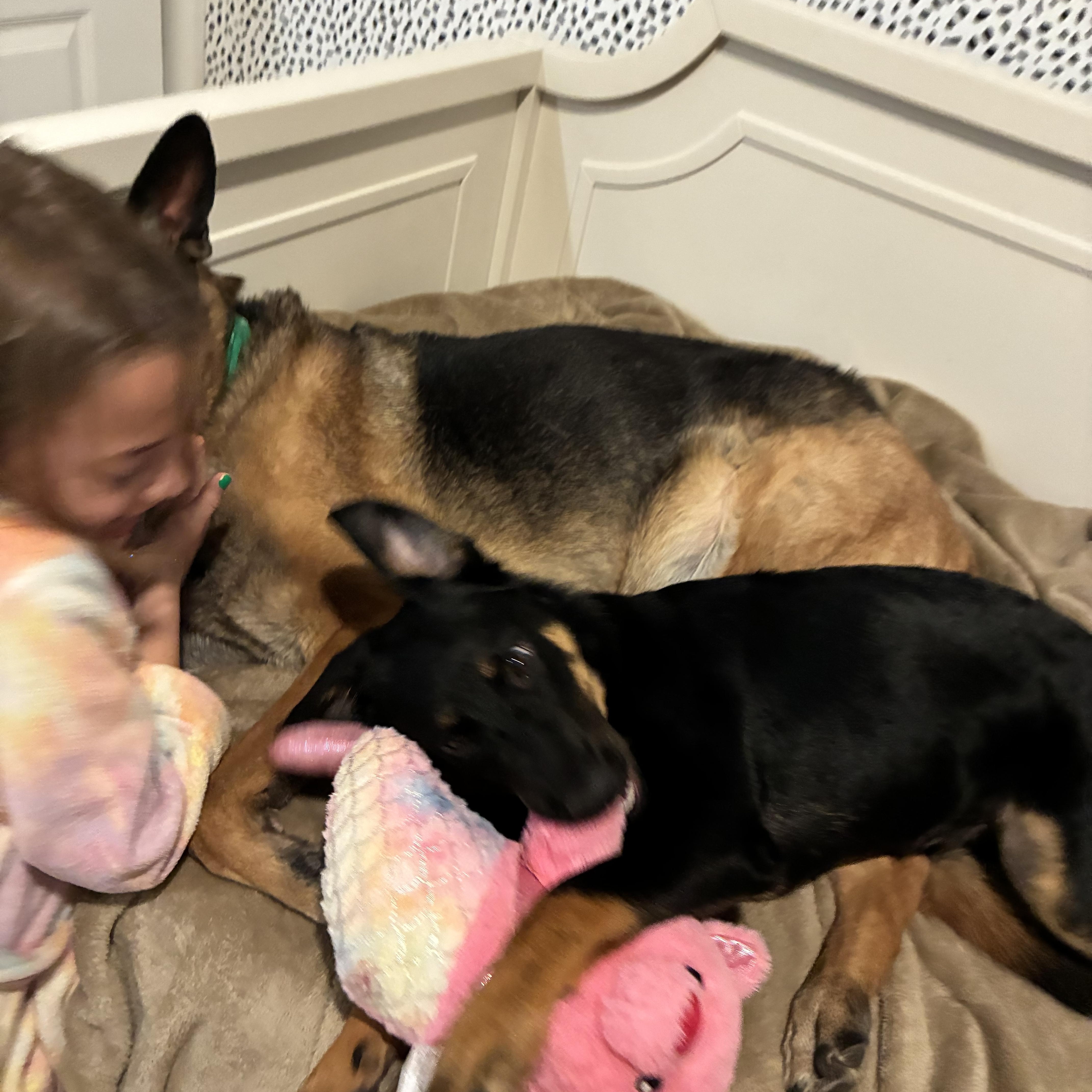 Twilight thumbnail 3