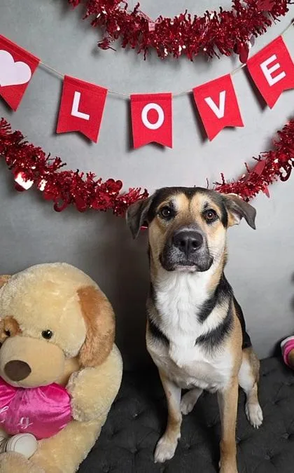 Professor Green thumbnail 2