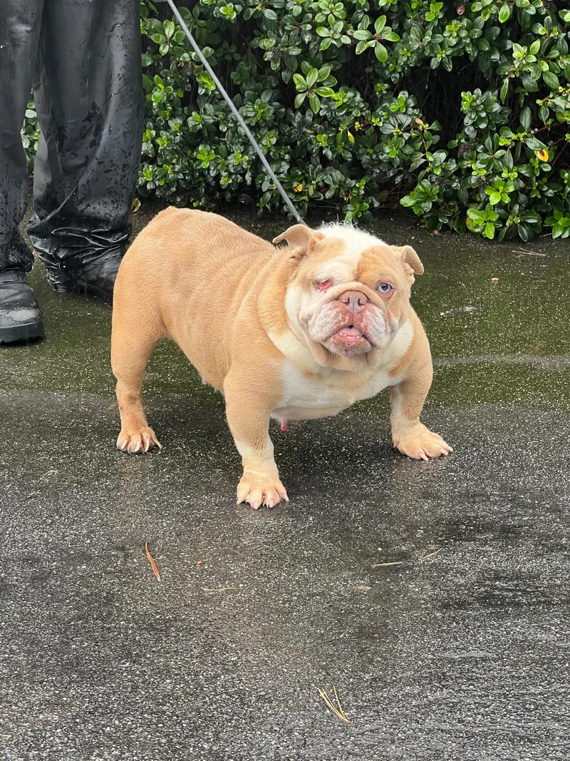 Princess thumbnail 2