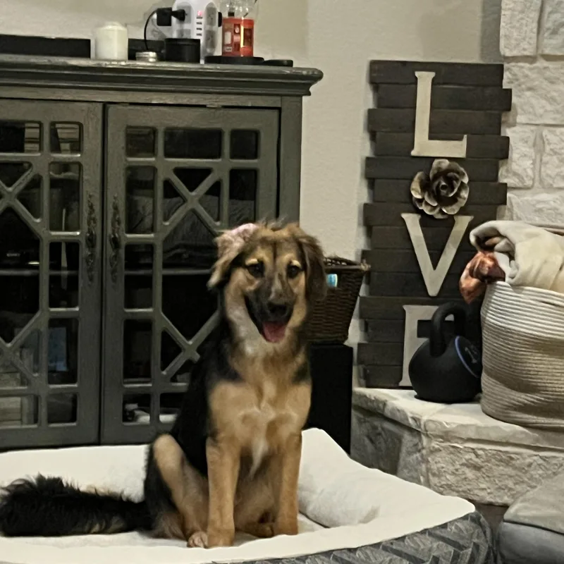 Buster Brown thumbnail 2