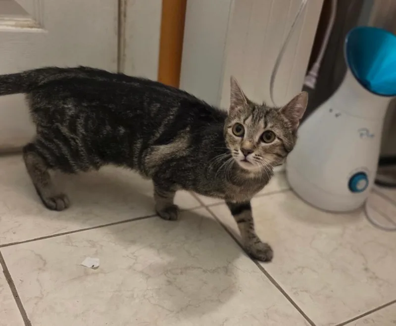 Jen Harding thumbnail 2