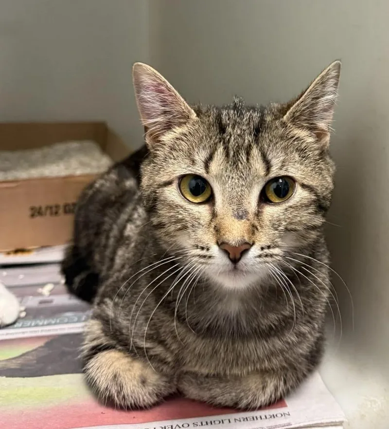 Jen Harding thumbnail 3