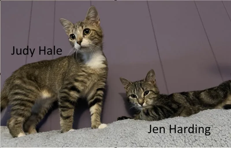 Jen Harding thumbnail 4