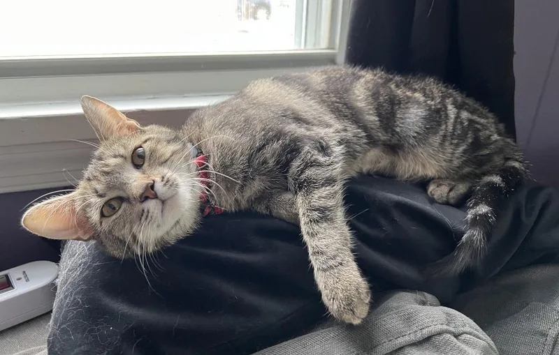 Jen Harding thumbnail 5