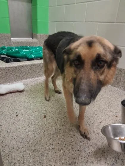 Diamond Mae thumbnail 2