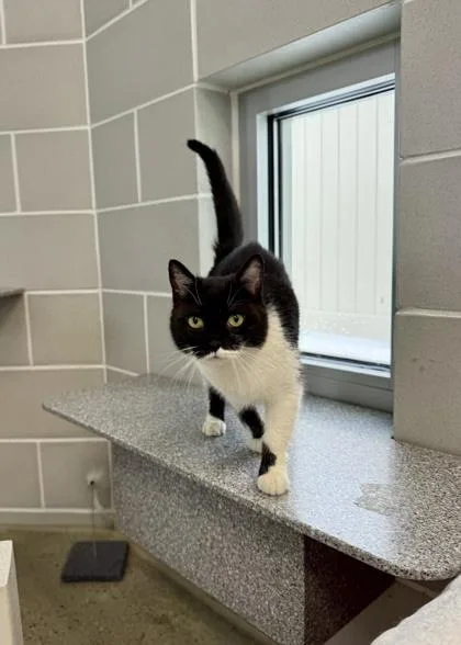 Sunshine thumbnail 3