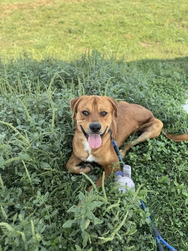 Bourdain thumbnail 2