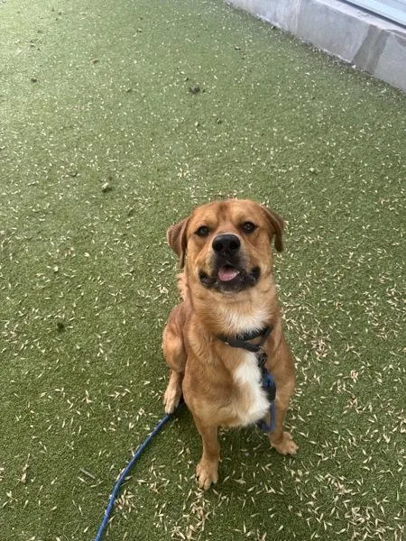 Bourdain thumbnail 3