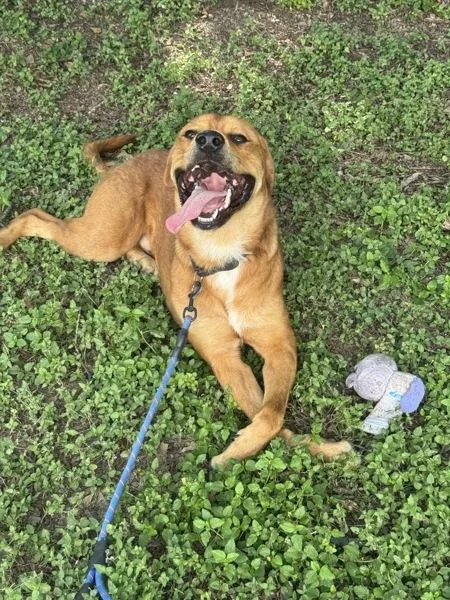 Bourdain thumbnail 4