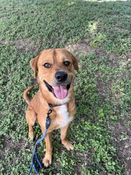 Bourdain thumbnail 5