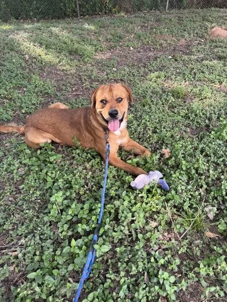 Bourdain thumbnail 6