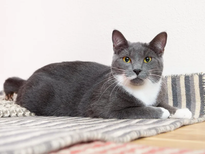 Junior And Granite thumbnail 2