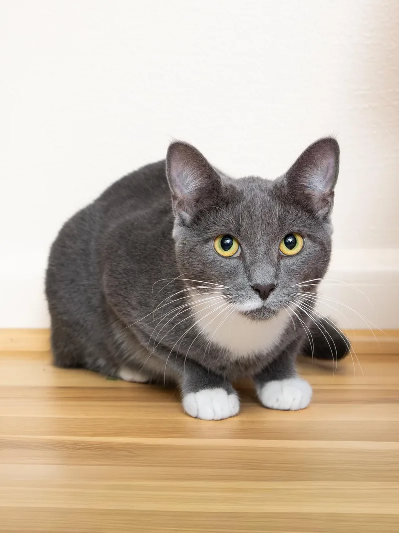 Junior And Granite thumbnail 3