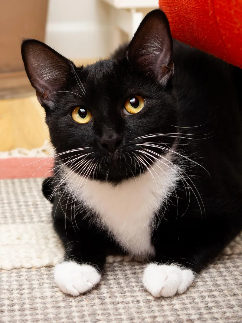 Junior And Granite thumbnail 4