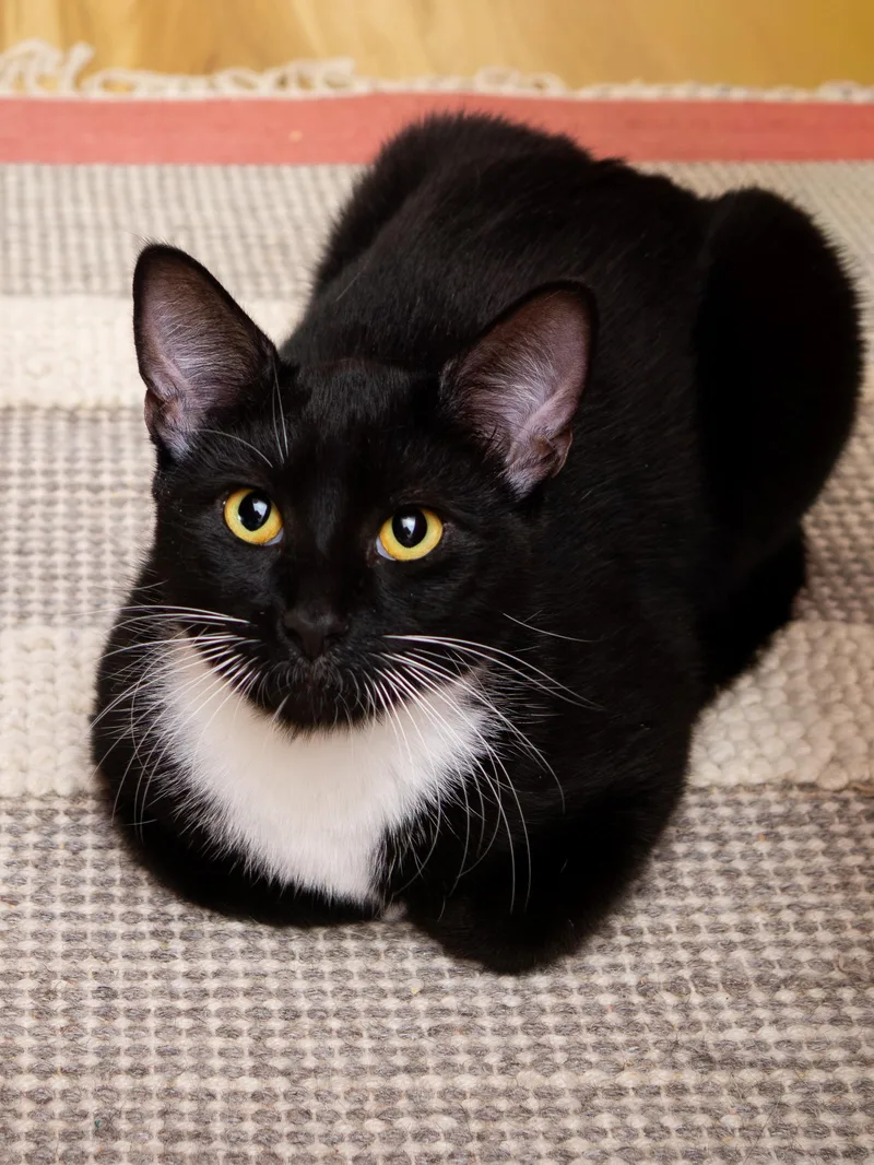 Junior And Granite thumbnail 5