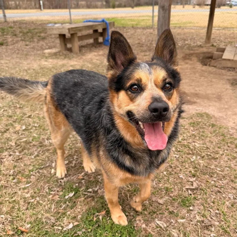 Big Booty Trudy thumbnail 3