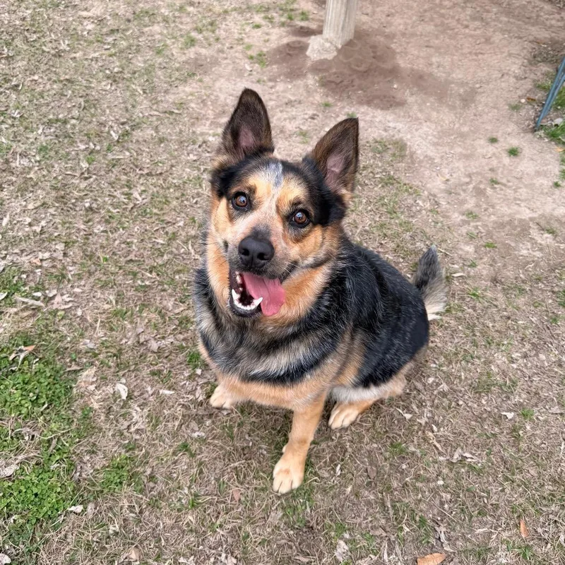 Big Booty Trudy thumbnail 5