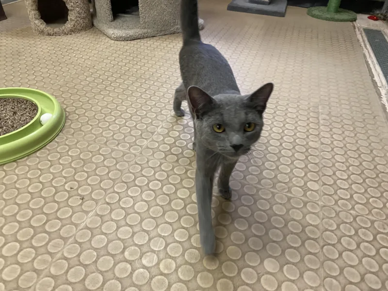 Sebastian thumbnail 3