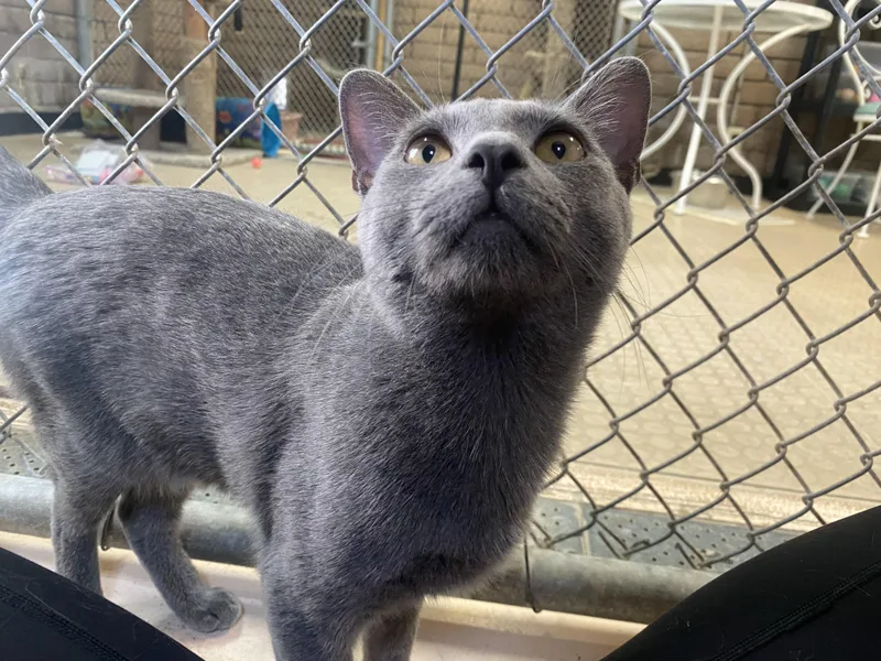 Sebastian thumbnail 4